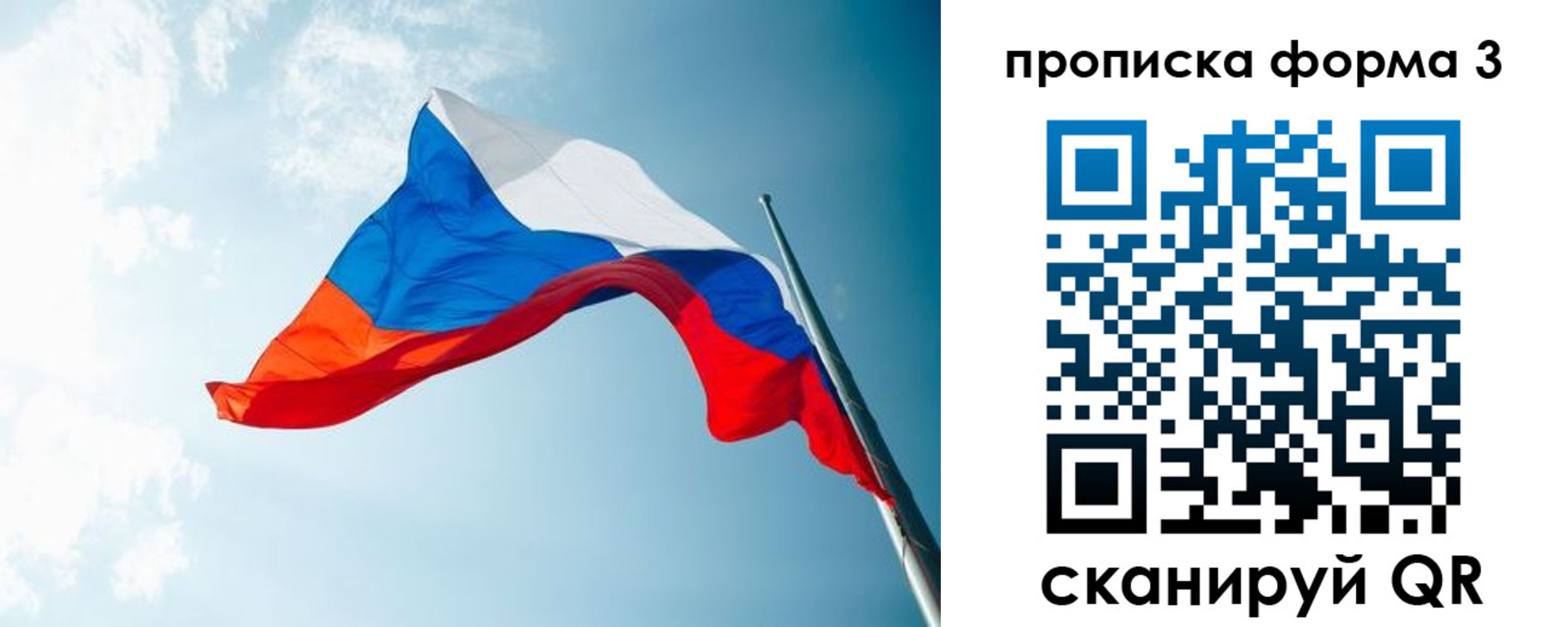 временная регистрация гарантия в Брянской области